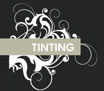 stephanie tinting