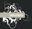 stepphanie waxing